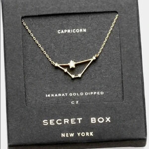Capricorn 14k gold dipped necklace - Astrology Zodiac